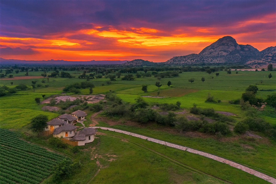 the jawai vanya bagh resort by lavender hotels