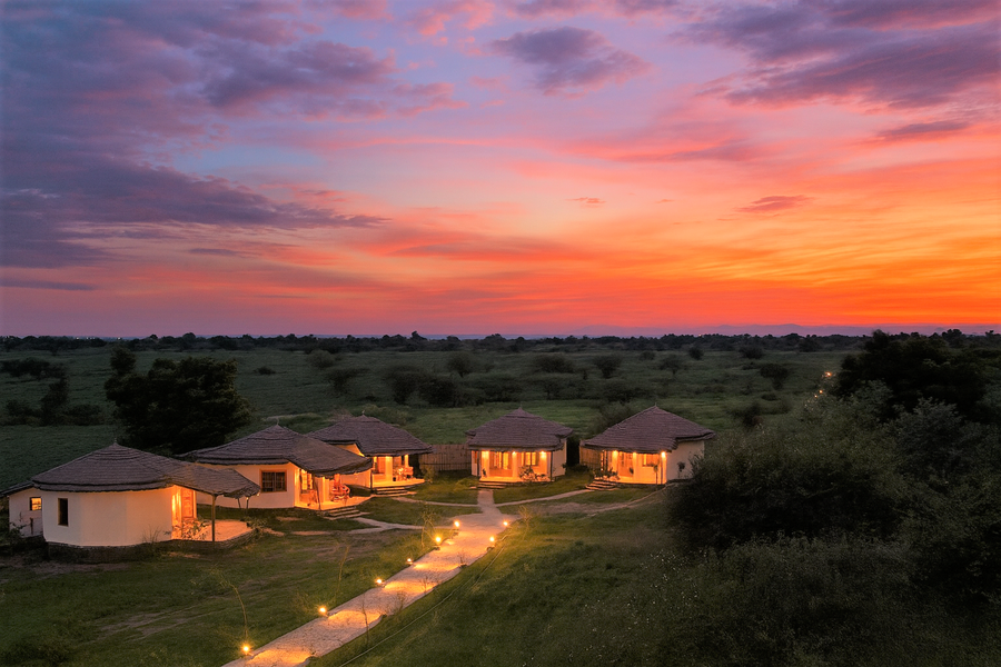 the jawai vanya bagh resort by lavender hotels