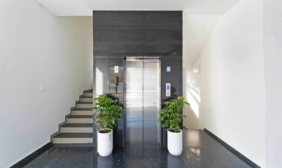 treebo global orchid