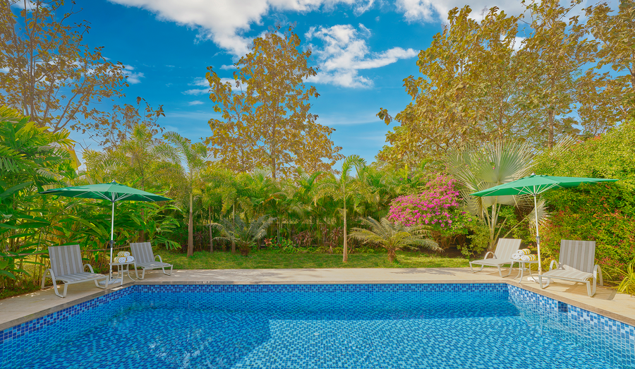 stone water by zuper