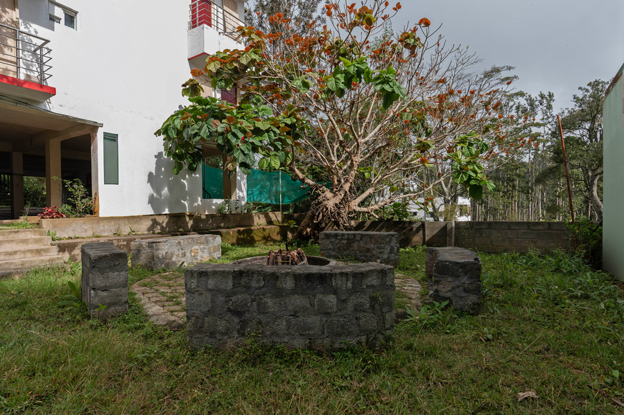 treebo golden paradise