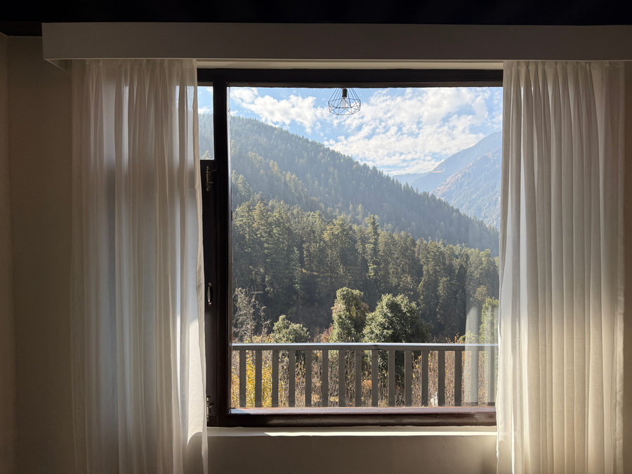 manali se your home in the pines