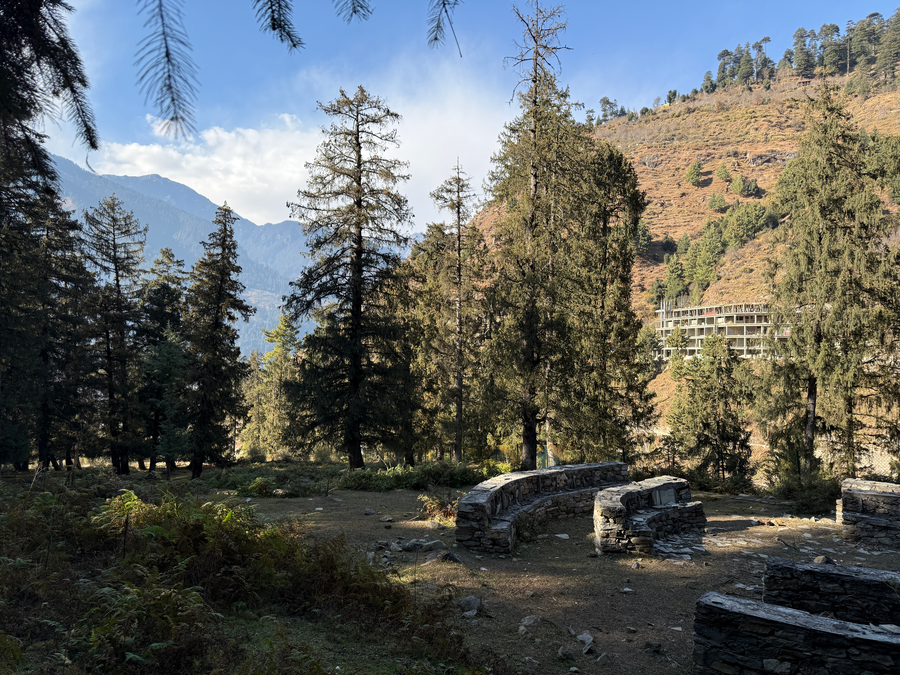 manali se your home in the pines