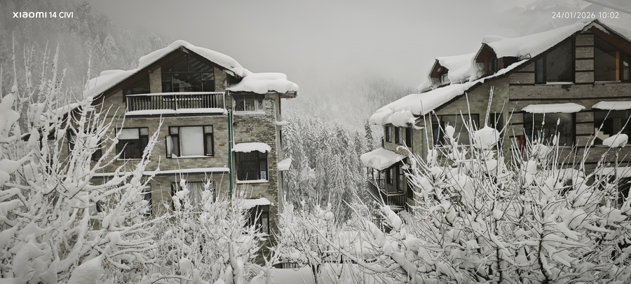 manali se your home in the pines