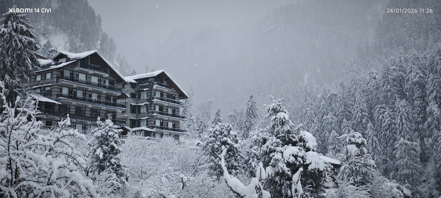 manali se your home in the pines