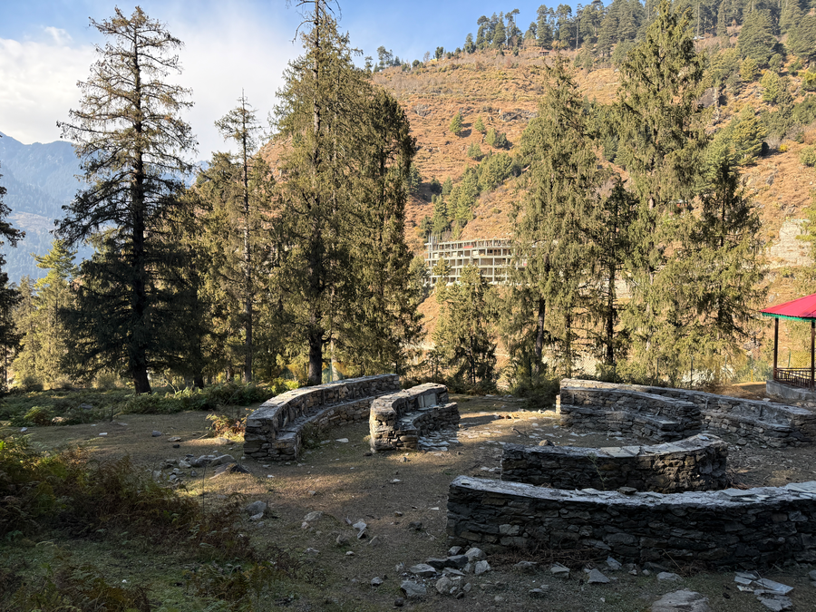 manali se your home in the pines