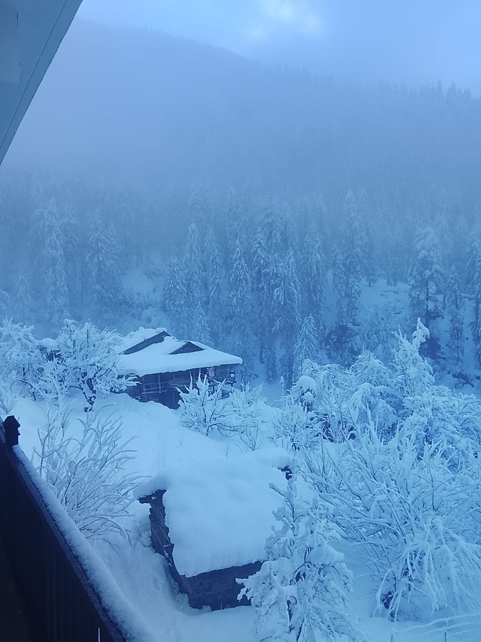 manali se your home in the pines