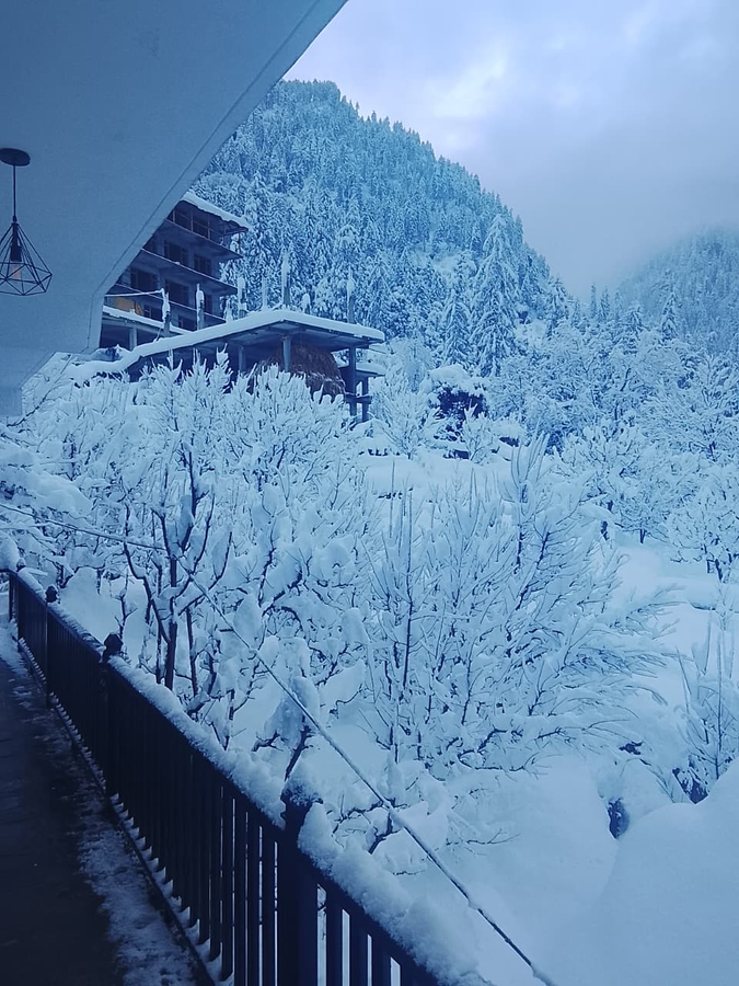 manali se your home in the pines