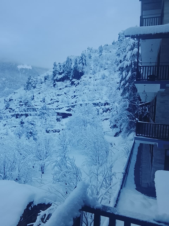 manali se your home in the pines