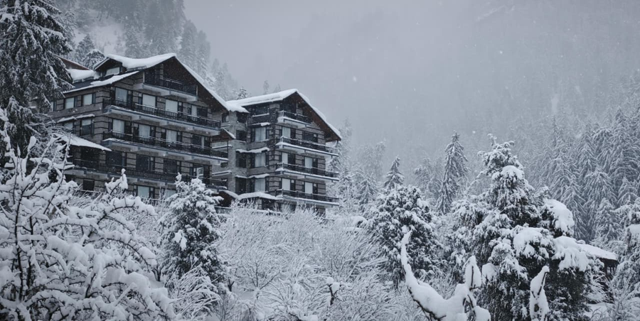 manali se your home in the pines