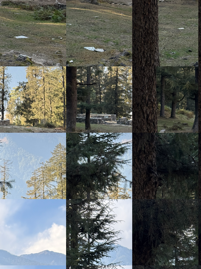 manali se your home in the pines