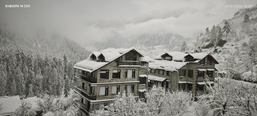 manali se your home in the pines