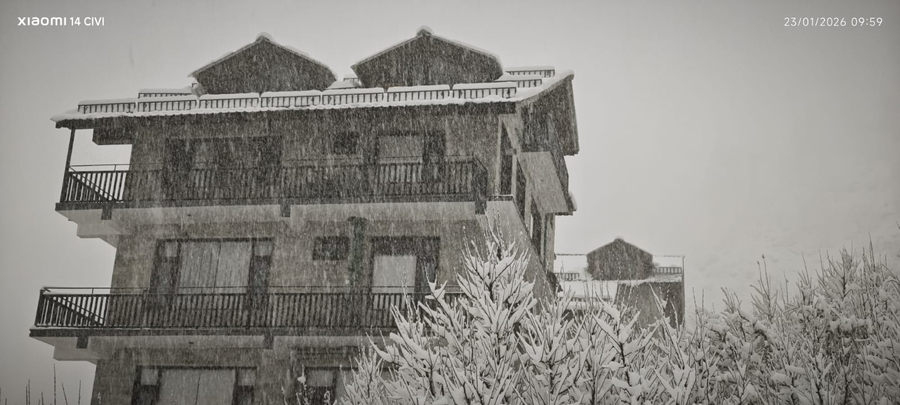 manali se your home in the pines