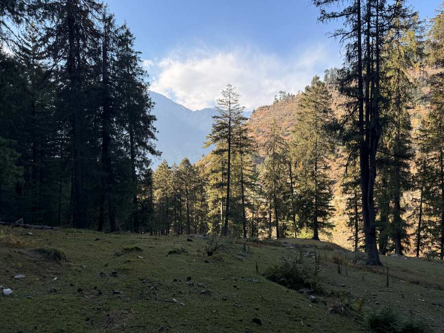 Manali Se - Your Home In The Pines,,3 star