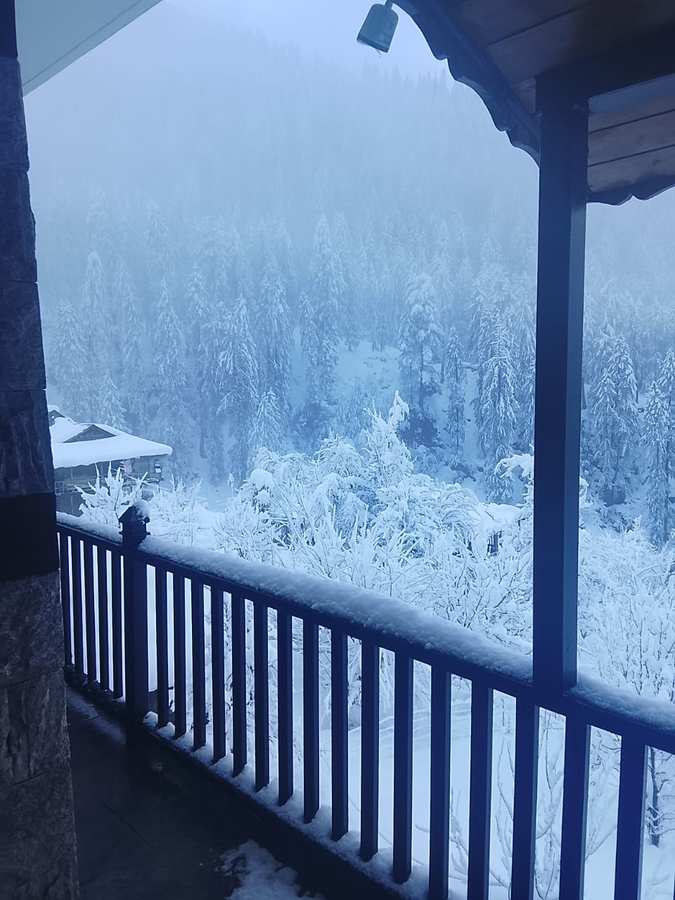 manali se your home in the pines