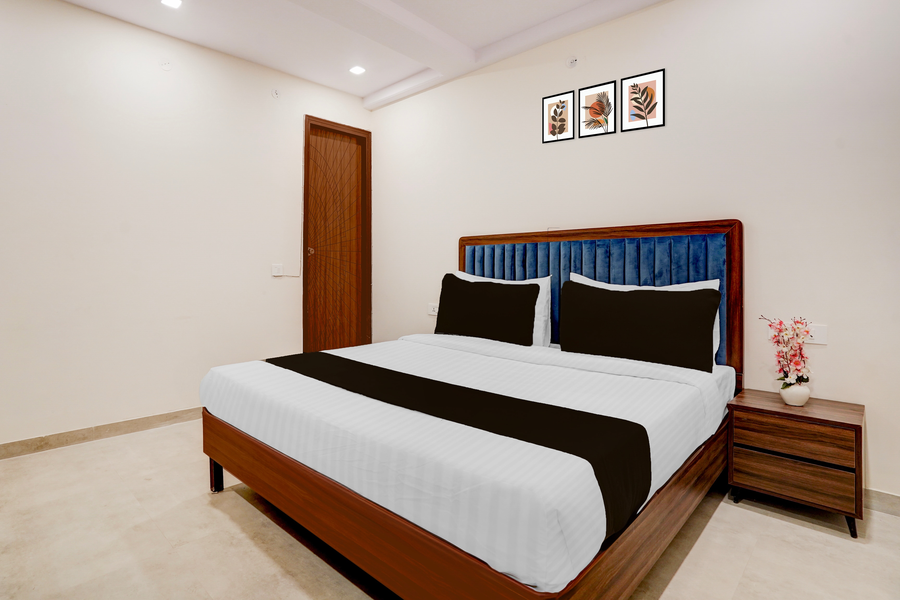 super townhouse preet vihar metro station