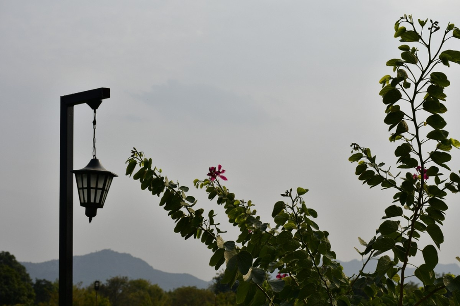 geeta bagh luxury farm stay with private pool villa in pushkar