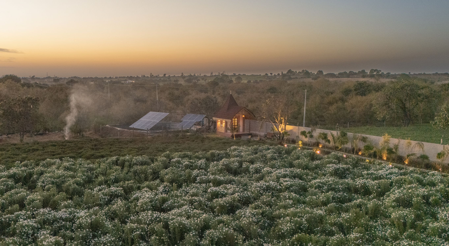 geeta bagh luxury farm stay with private pool villa in pushkar