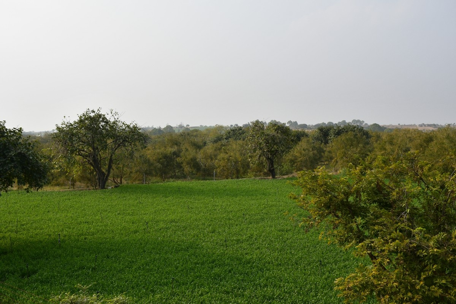 geeta bagh luxury farm stay with private pool villa in pushkar