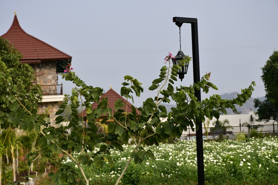 geeta bagh luxury farm stay with private pool villa in pushkar