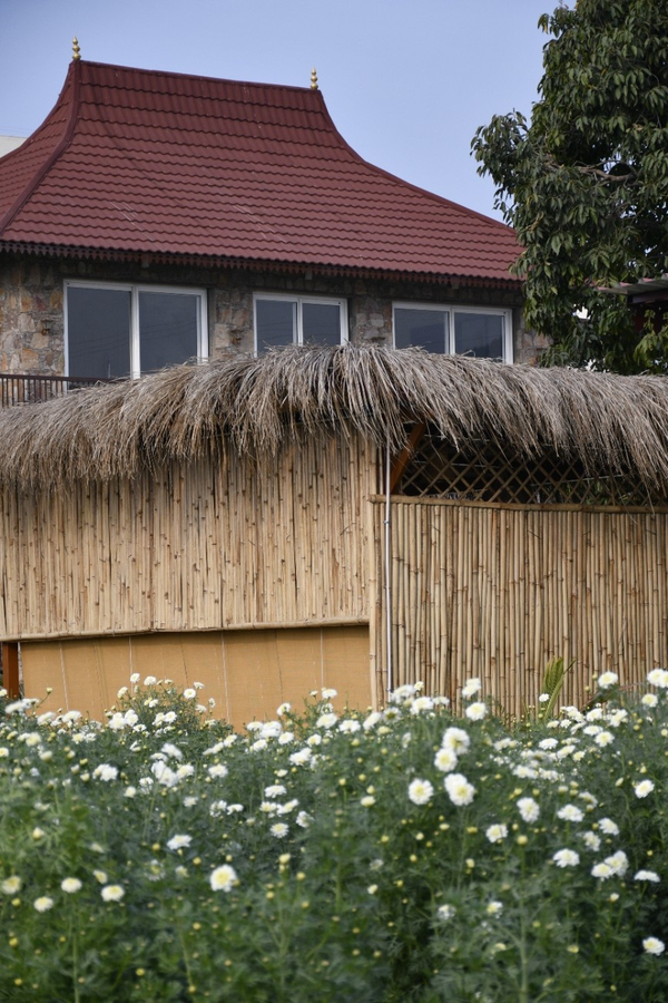 geeta bagh luxury farm stay with private pool villa in pushkar