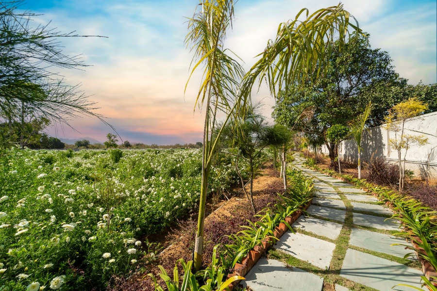 geeta bagh luxury farm stay with private pool villa in pushkar