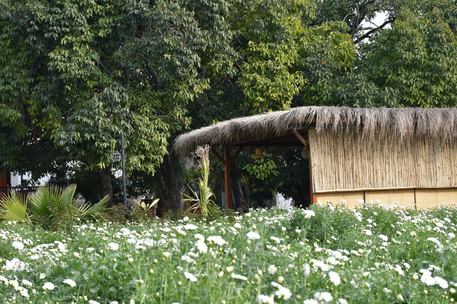 geeta bagh luxury farm stay with private pool villa in pushkar