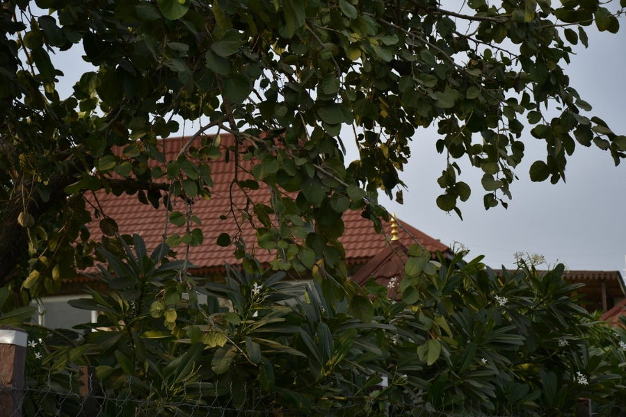 geeta bagh luxury farm stay with private pool villa in pushkar