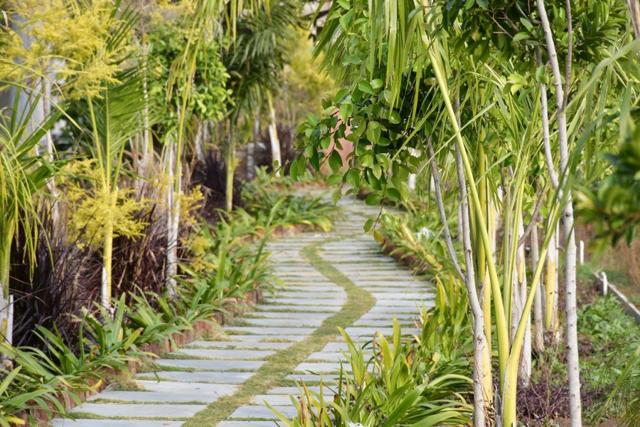 geeta bagh luxury farm stay with private pool villa in pushkar