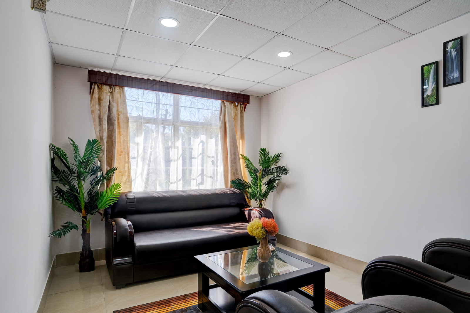 palette hotel and resort garikhana shillong formerly council lodge