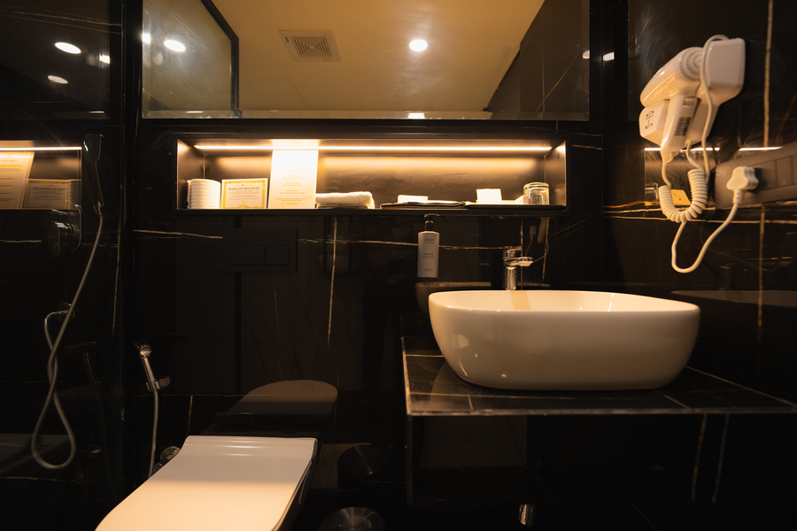 hotel limon sector 45