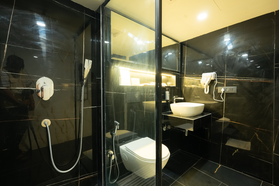 hotel limon sector 45