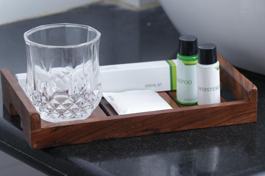 hotel srushti regency