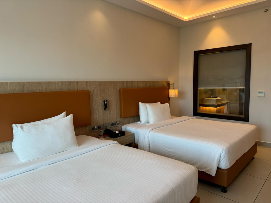 elements by rosetta varca goa