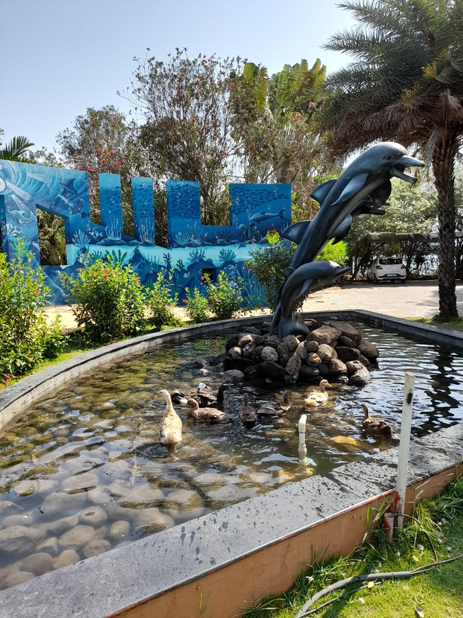 Aquarius Resort,,3 star