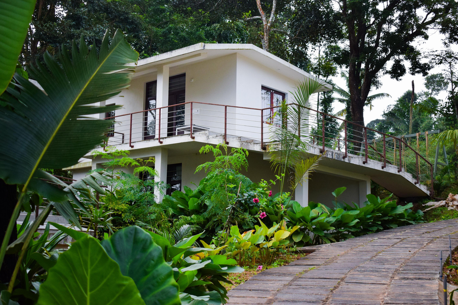 lionton resort by z vacations