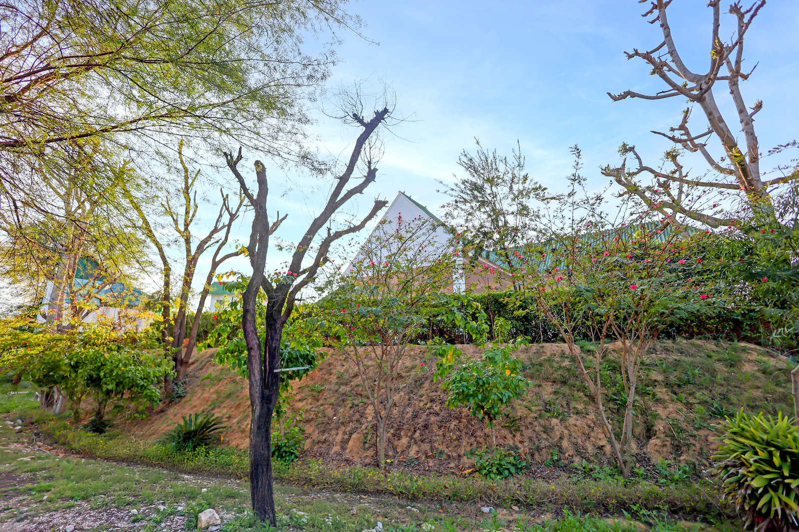 palette hotel and resort kalwar road jaipur formerly jai madhav resort