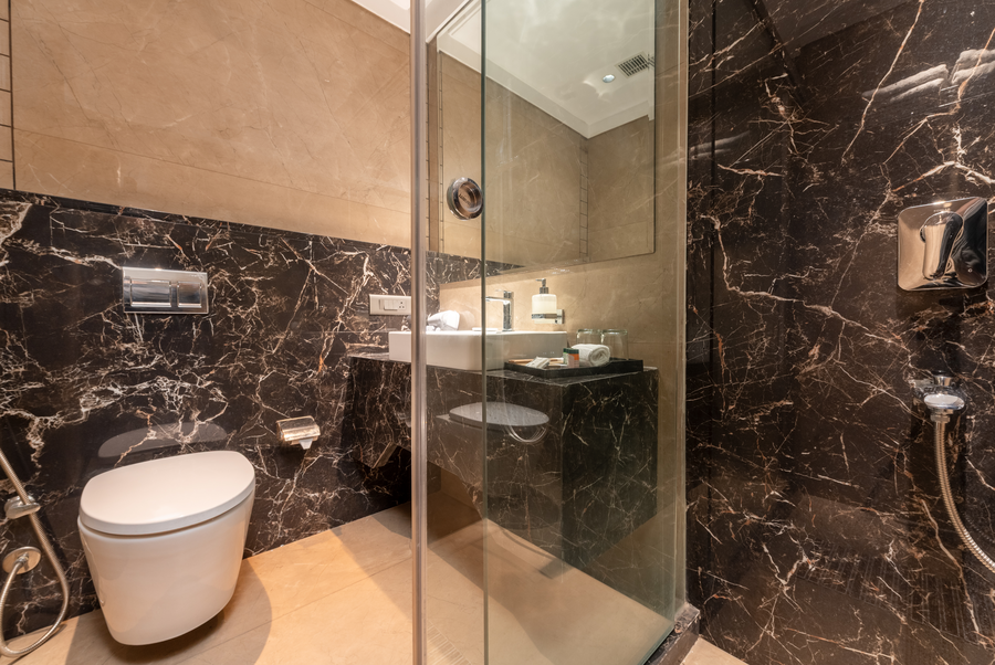dls hotels amritsar