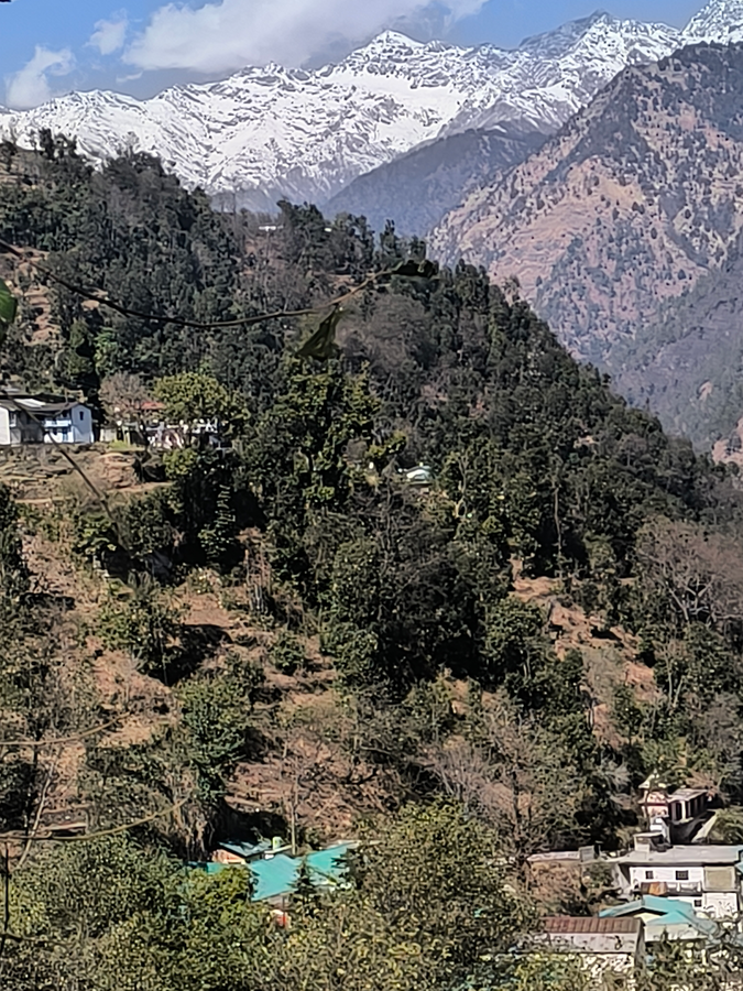 pacific inn devsthali resort kedarnath