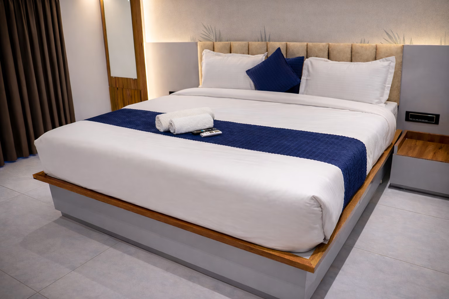 axon business hotel sanand ahmedabad