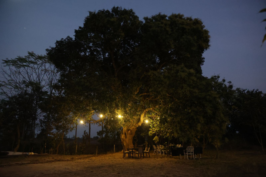 tuli orchid a boutique eco resort