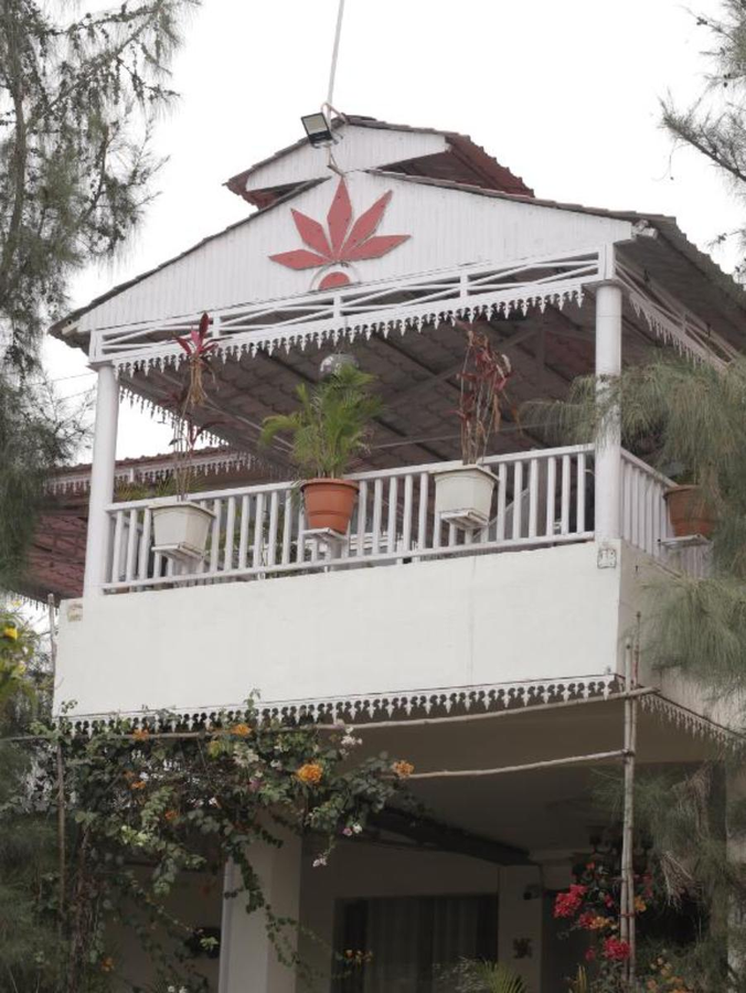 the golden view farm and resort