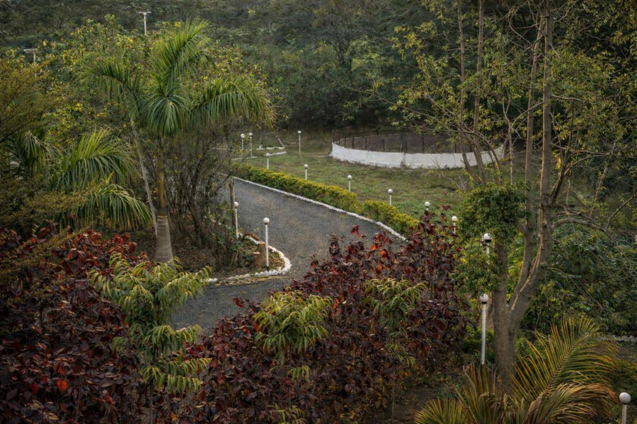 the golden view farm and resort