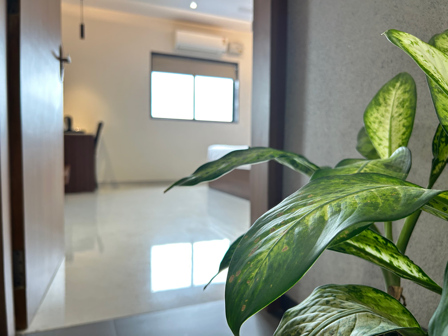 hiive by convivial hotels