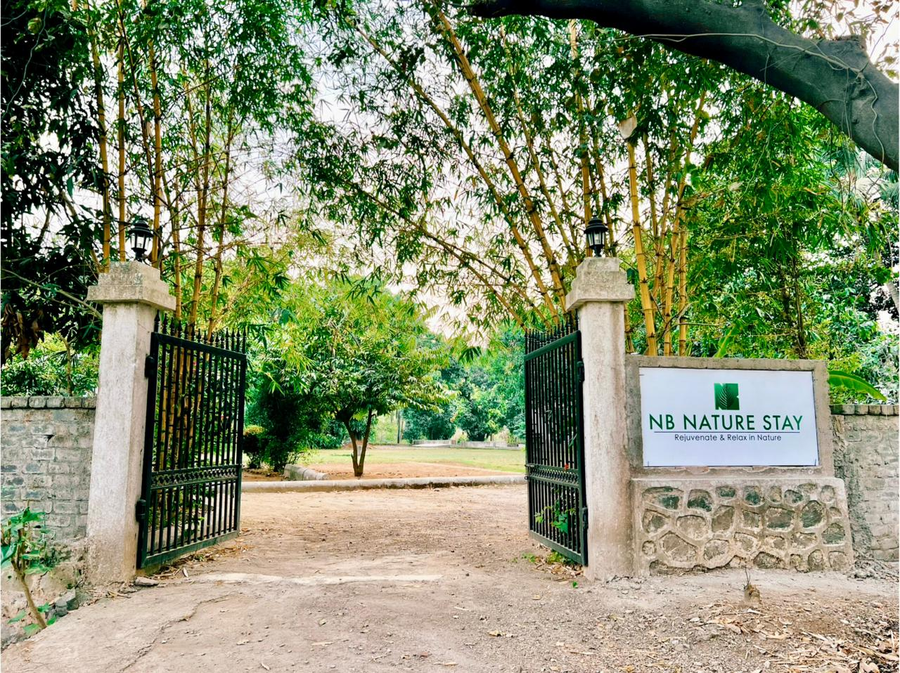 nbs nature stay