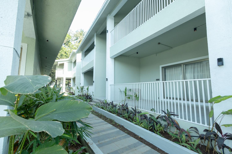 spicymango florea resort