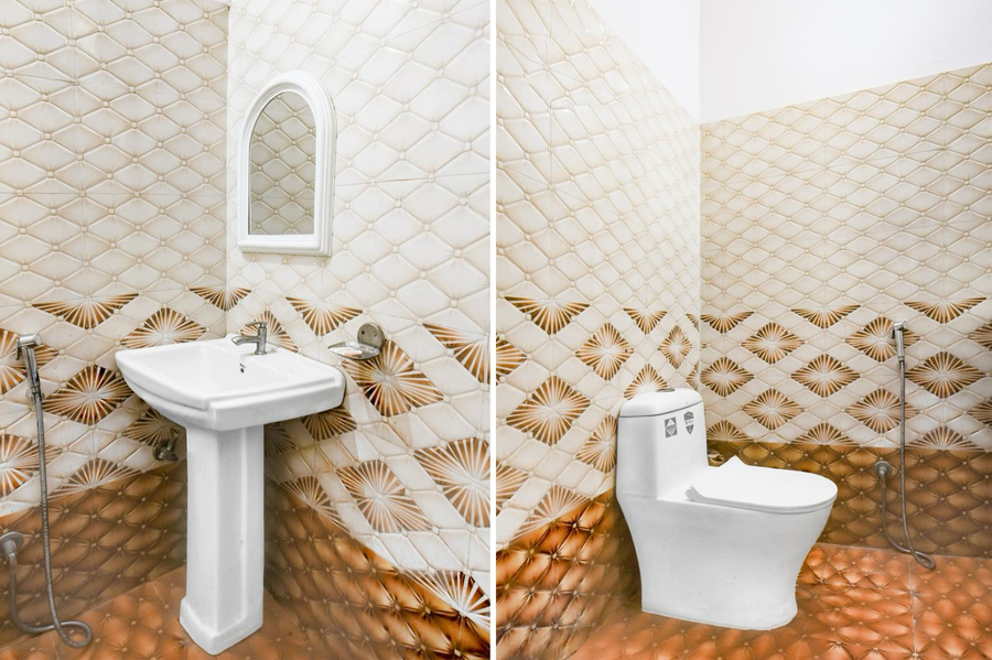 the nine hotel mansarovar