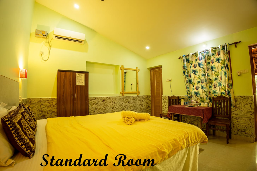 rockit cafe and stay palolem