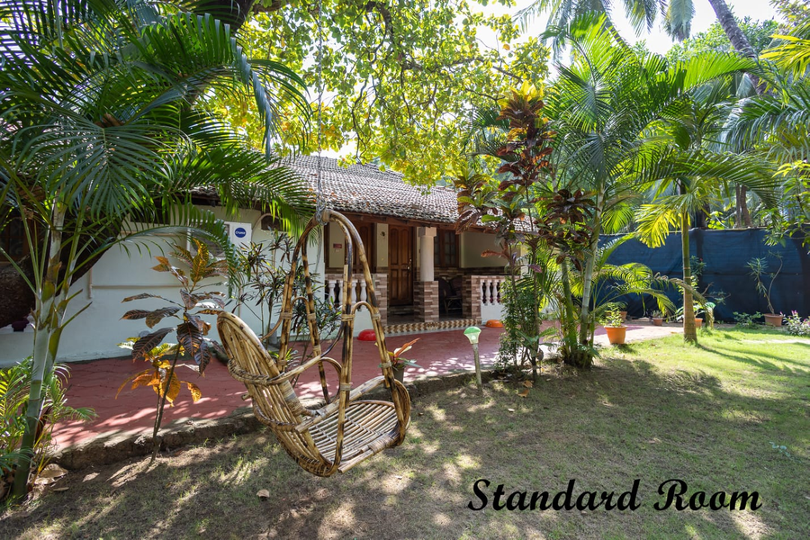 rockit cafe and stay palolem