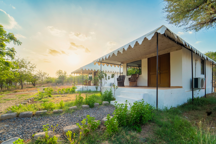 maya lake shambhala jawai